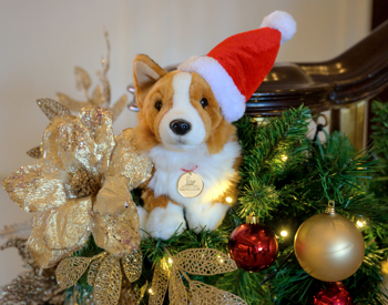 A Corgi Plush Toy Wearing a Santa Hat is sitting amongst Christmas Decorations aboard Britannia in Leith. 