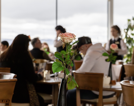The Royal Deck Tearoom with visitors sitting at tables. A pink rose in a vase is in the foreground. 