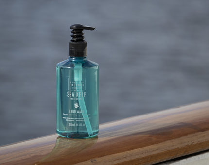 A bottle of handwash on the handrail.