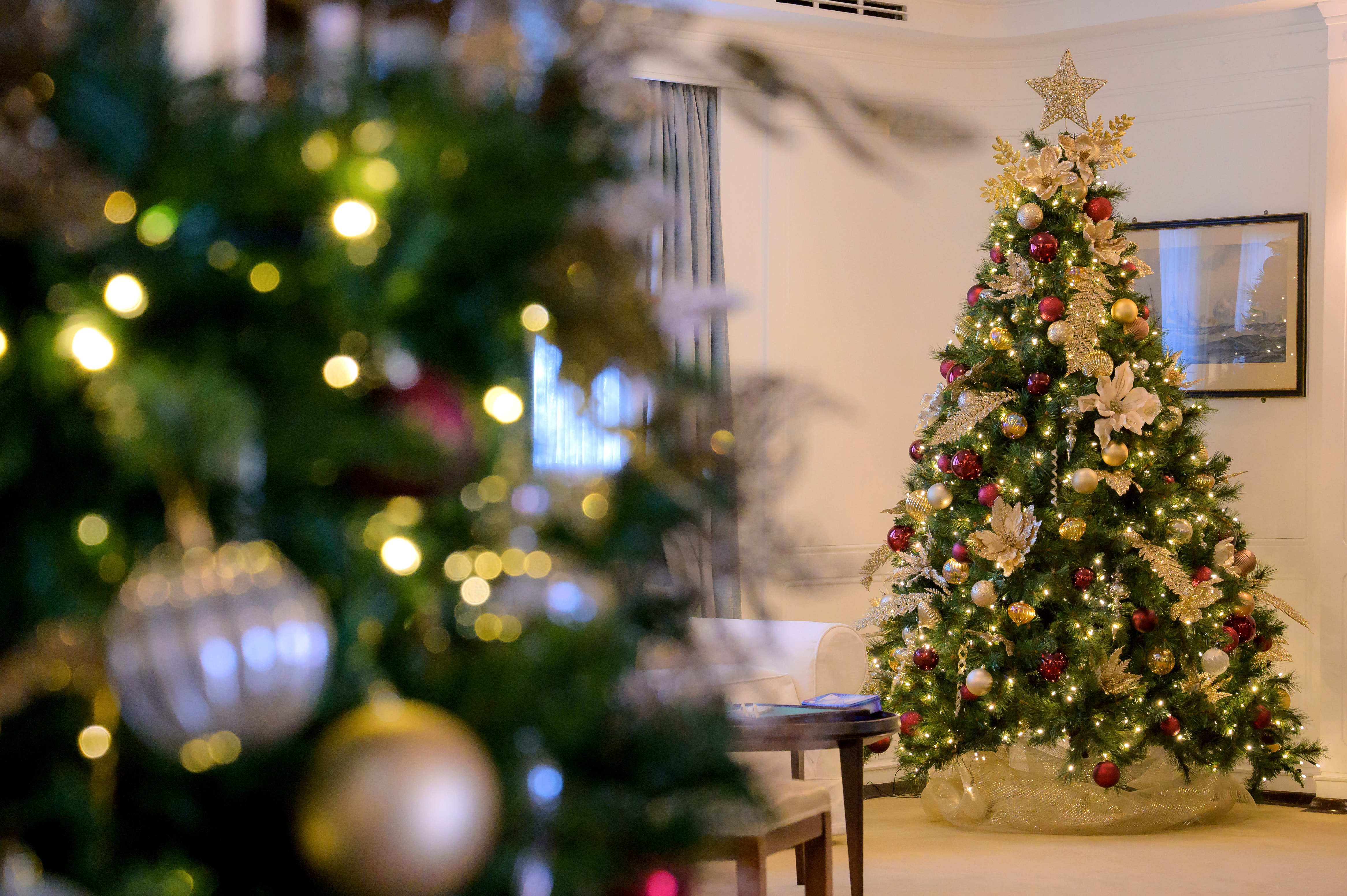 Christmas tree is adorned with glittering decorations in the State Drawing Room Anteroom aboard Britannia