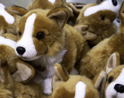 Close-up of a basket of cuddly soft toy corgi dogs.