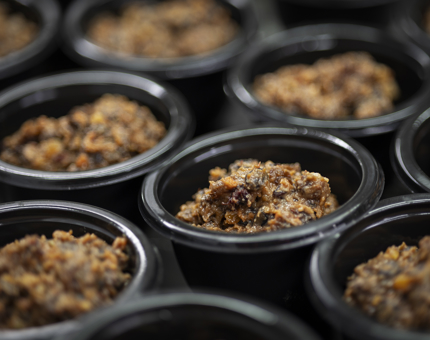 Christmas Puddings for 2025 being made in the onboard Galley