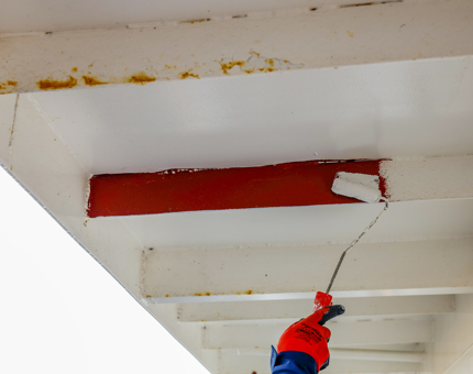 A close up look at a hand holding a paint roller adding a coat of white paint to Fingal's deck head. 