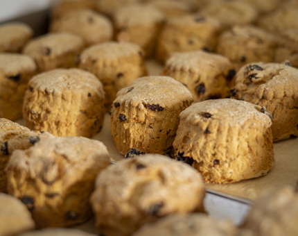 A tray of fruit scones. 