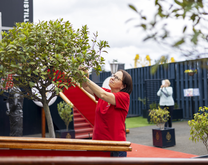 A woman from Housekeeping pruning a tree at the Quayside. 