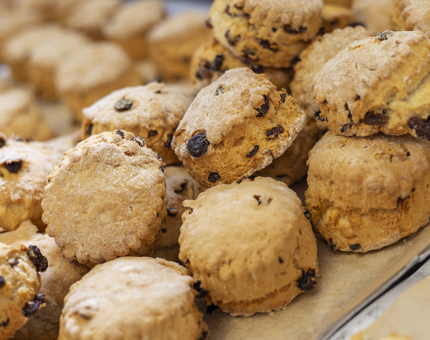 A close up of a tray of fruit scones, fresh out the oven in the Galley