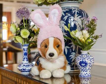 A plush corgi toy with pink Easter bunny ears on it. There are blue and white vases of flowers on the table behind it. 