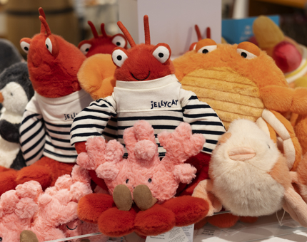 A selection of Jellycat plush toys - there's lobsters, coral and fish. 