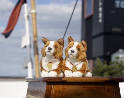2 Corgis from the Gift Shop sitting on Britannia's Deck. 